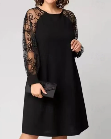 Dames Mini-jurk Kanten jurk Casual jurk Elegant Mode Buiten Vakantie Date Normale pasvorm Effen Lange mouwen Ronde hals Zwart Lente Herfst